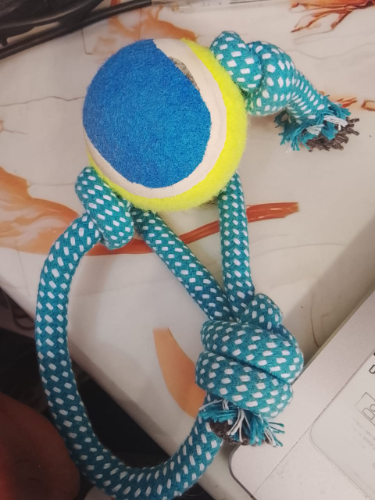 JUGUETE PELOTA  CON CUERDA