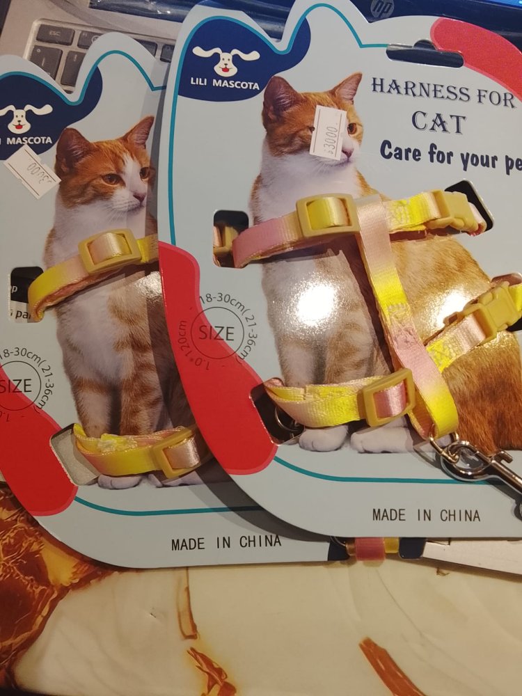 ARNES GATO COLORES
