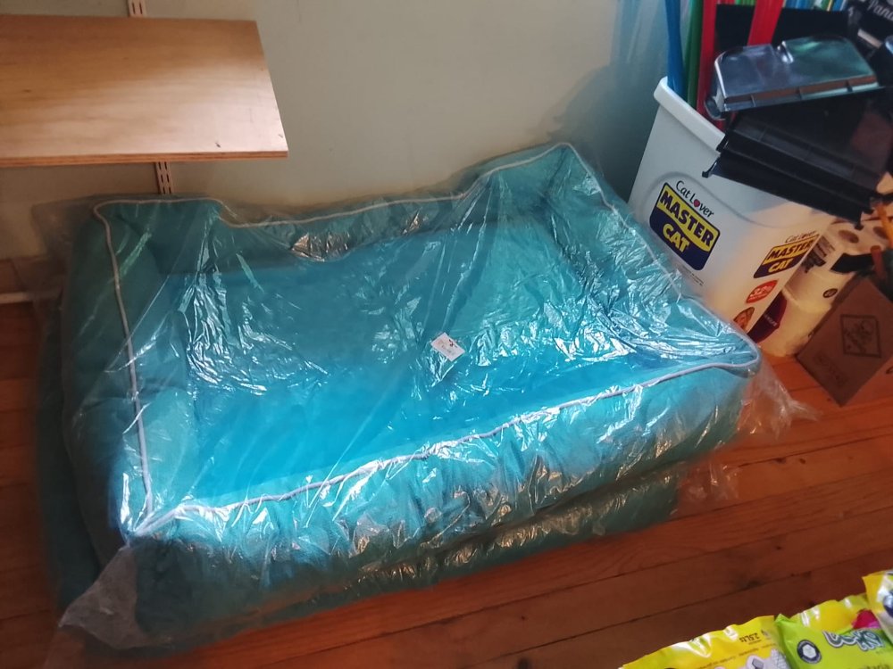cama BA2198 85X115 CM