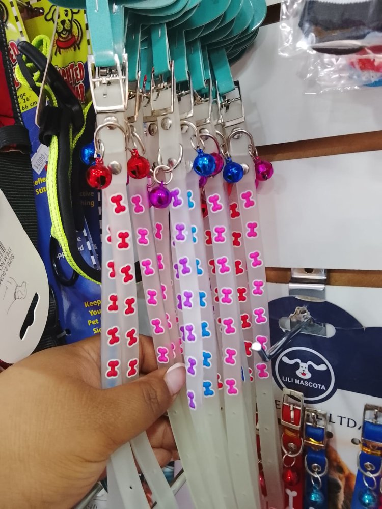 COLLAR CACHORRO