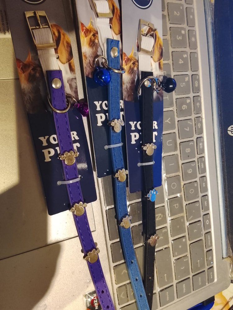 COLLAR MATE HUELLAS