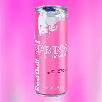 RED BULL SPRING 250ML FRUTOS ROJOS