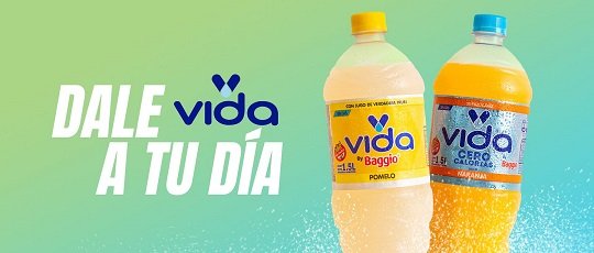 VIDA BAGGIO 500CC
