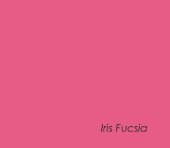 CARTULINA IRIS  FUSHIA