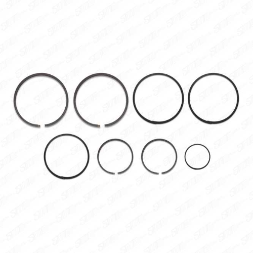 JUEGO DE ANILLOS 5R55S / 5R55N / 5R55W A9040