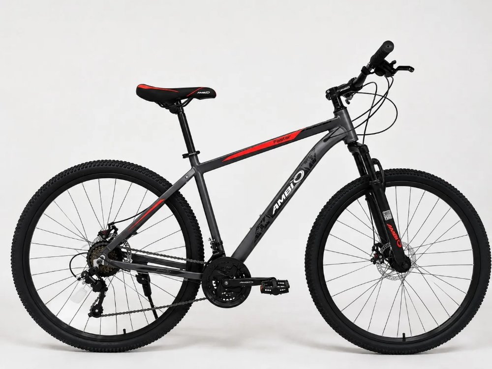 Bicicletas AMBI O