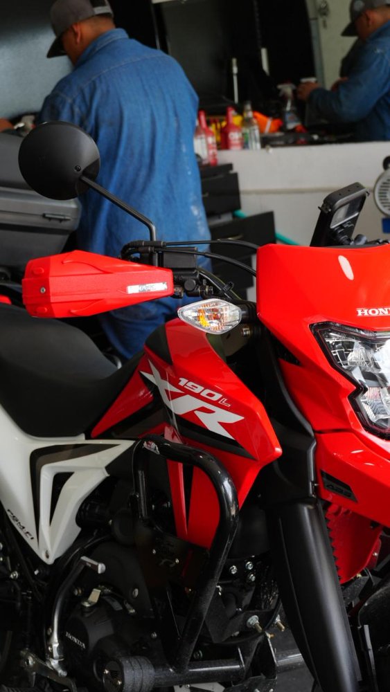 CORT. ROCKET ROJO