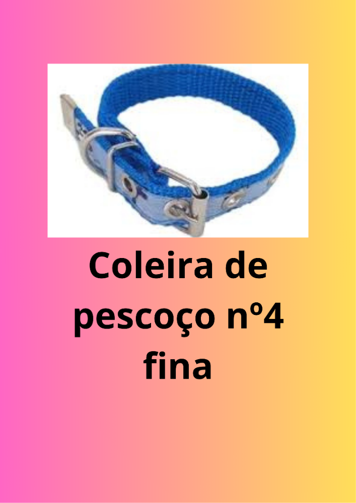 Coleira de pescoço nº4 fina