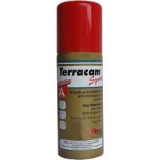 Terracam