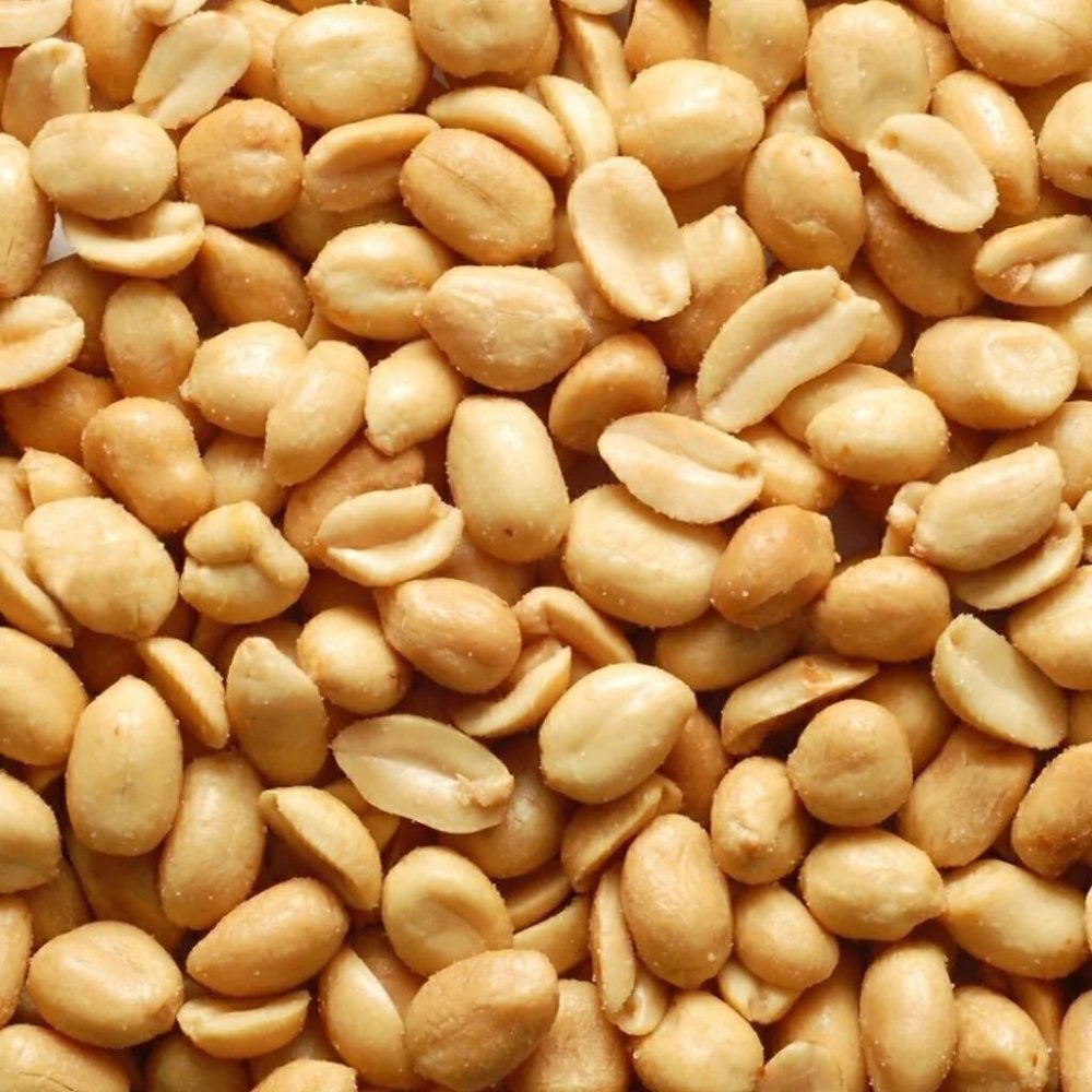 Maní Salado Nacional 100g (Exhibidor)