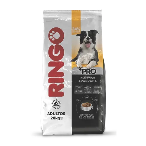 PERRARINA RINGO PRO ADULTO