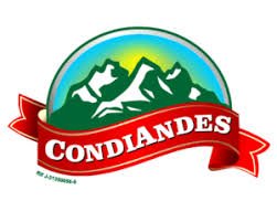 COLOR PURO CONDIANDES
