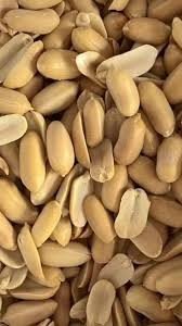 Maní jumbo 100g (Exhibidor)