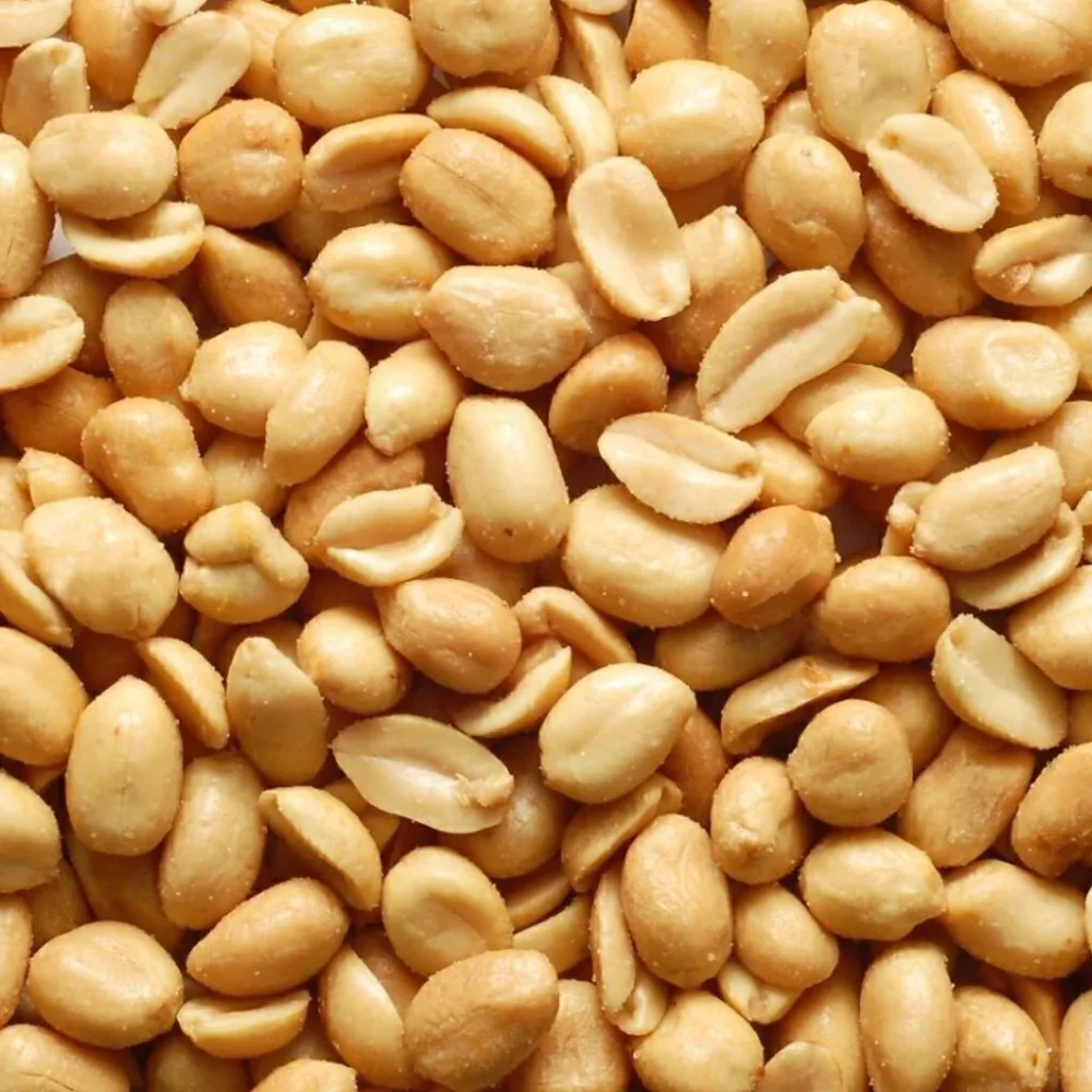 MANI SALADO ECONOMICO