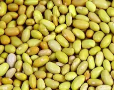 Frijol  Peruano