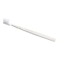 Cepillo Dental Economico