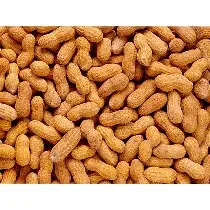Cacahuate Nacional 10 kg.