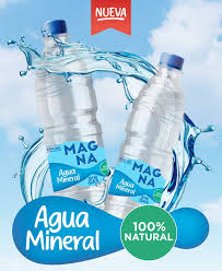 AGUA MAGNA 1L