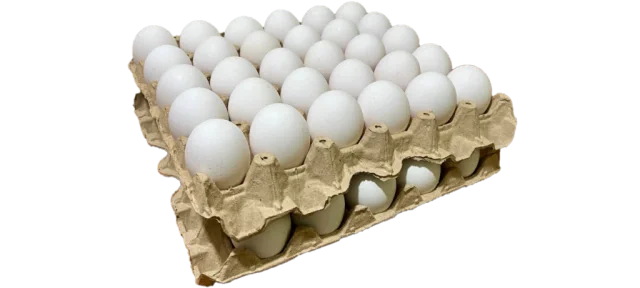 Bandeja de huevos 2x extra