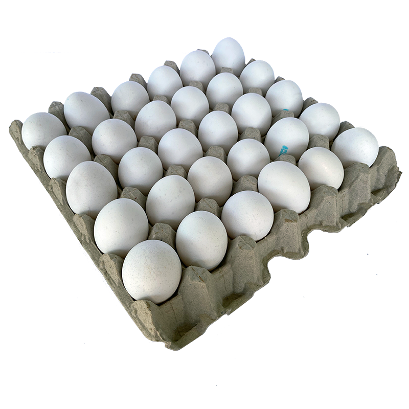 Huevos bandeja 30unidad
