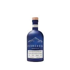 Aconcagua Clasico
