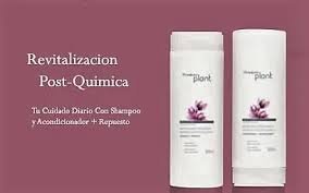 Plant Envase ac revitalizacion post quimica
