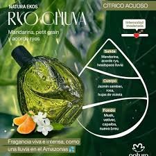 ekos ryos verde