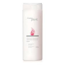 plant envase sh hidratacion reparadora
