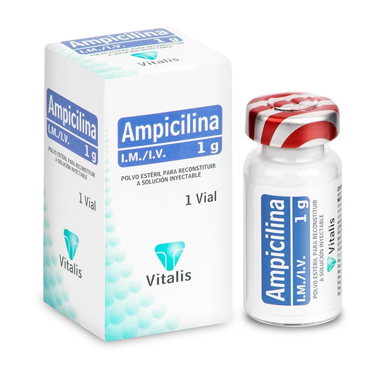 Ampicilina 1gr Ampolla (Vitalis)