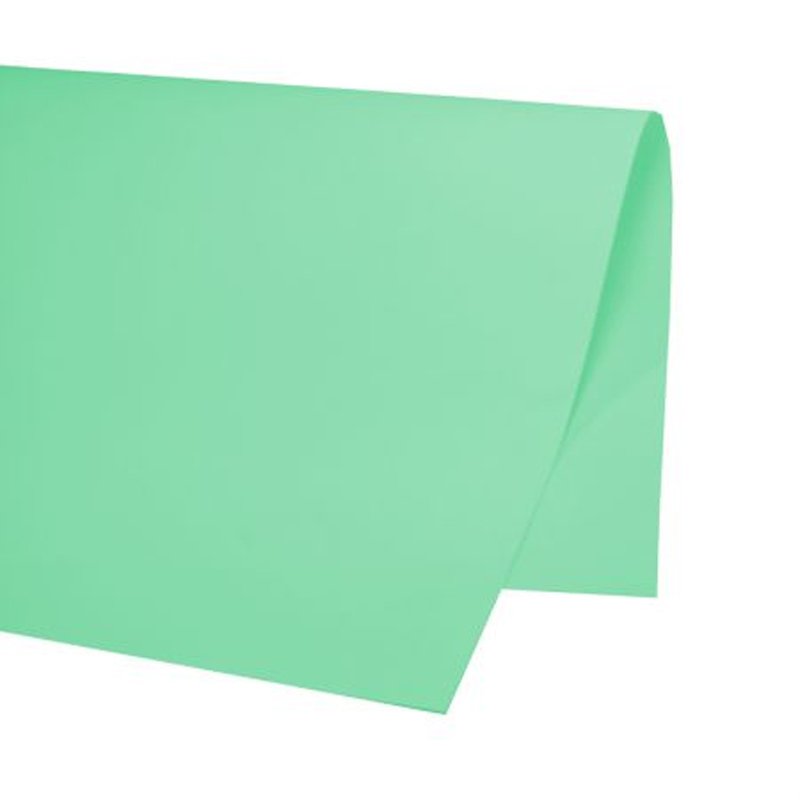 CARTOLINA ESCOLAR VERDE - 120G - 50X66CM