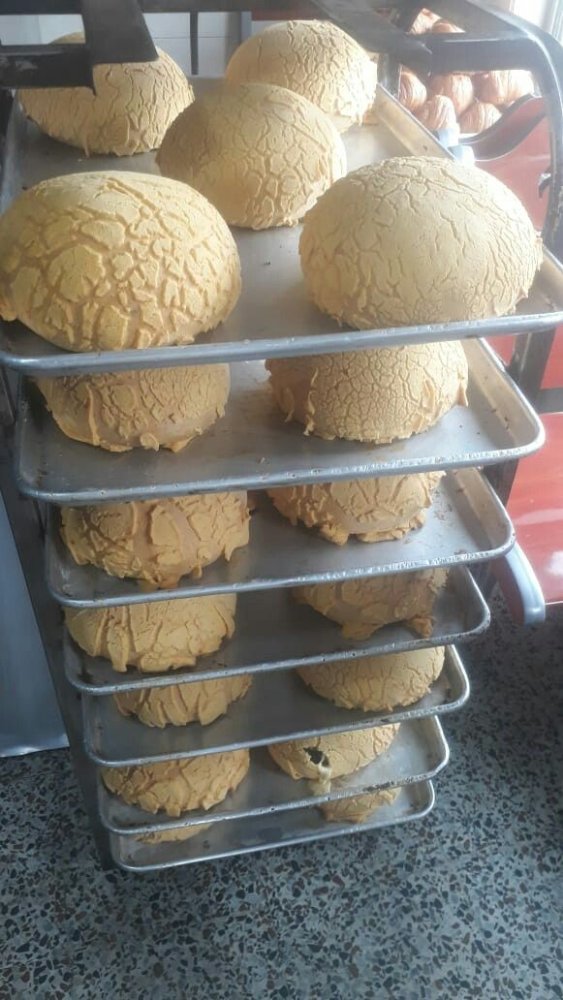 Pan galleta