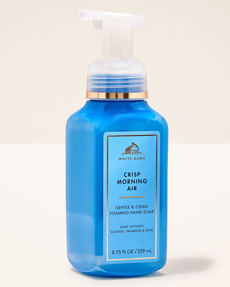 Crisp Morning Air Jabon Espumoso para Manos 8.75 oz - Bath & Body Works