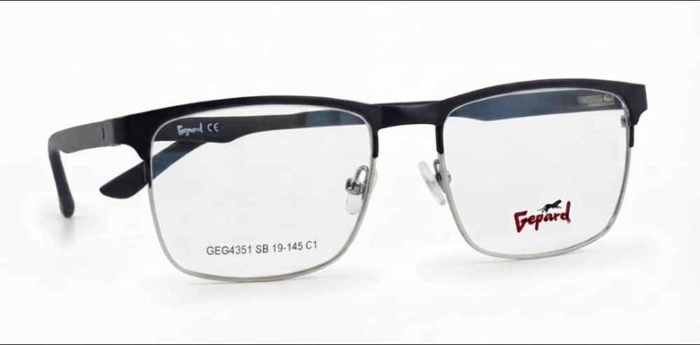 GEPARD - GEG4351