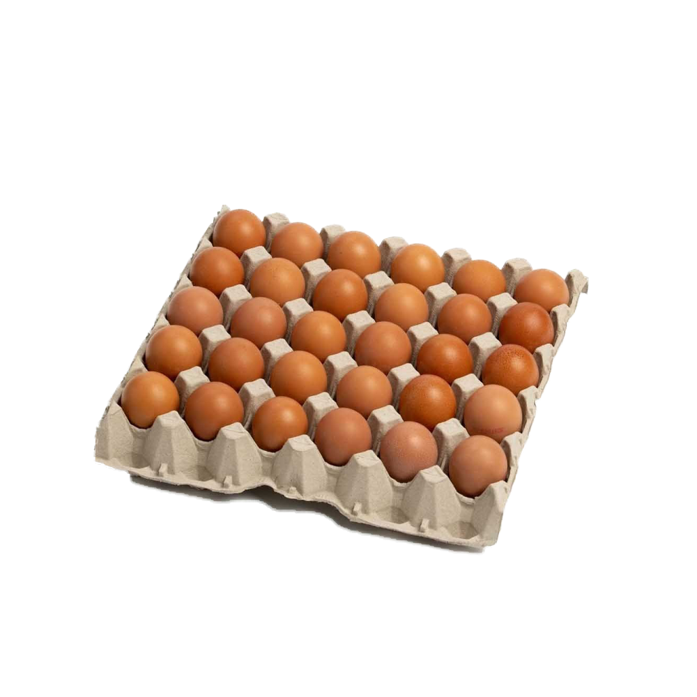 HUEVOS EXTRA COLOR