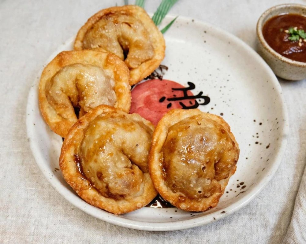 WANTAN CERDO X4