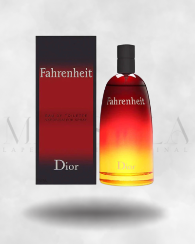CH. DIOR FAHRENHEIT FM EDT SPR 100ML