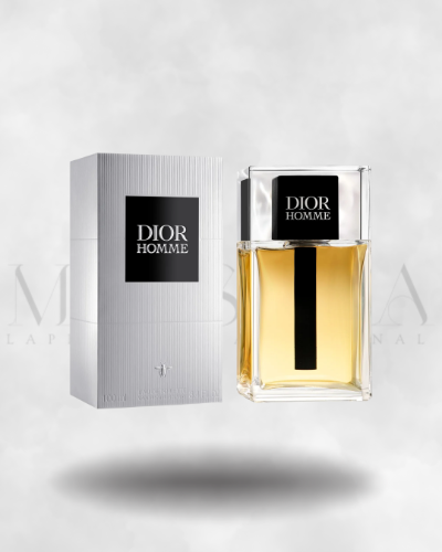 CH. DIOR HOMME FM EDT SPR 100ML