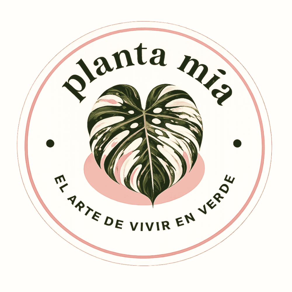 Planta Mia