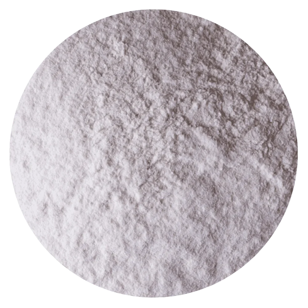 HARINA ARROZ INTEGRAL