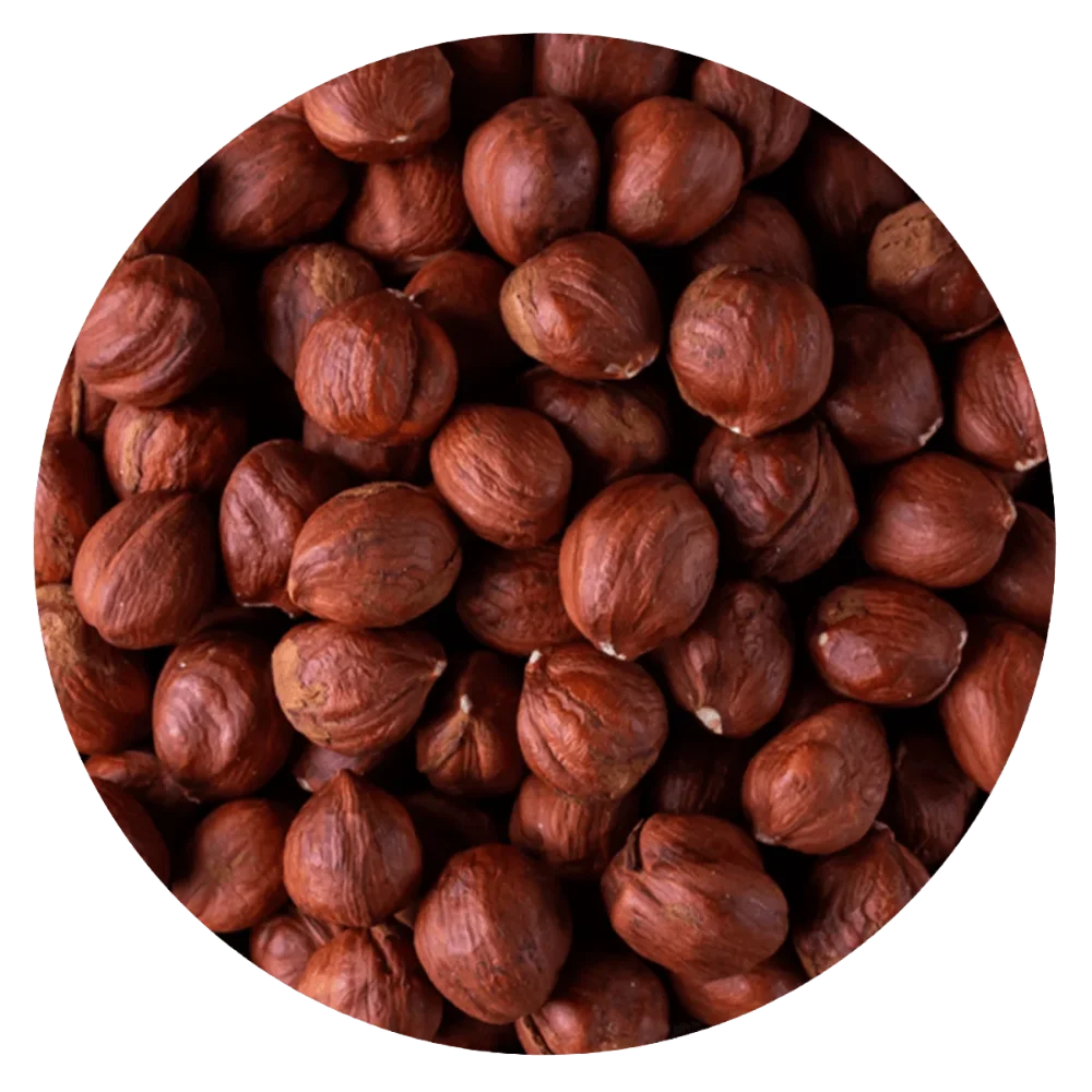 AVELLANA