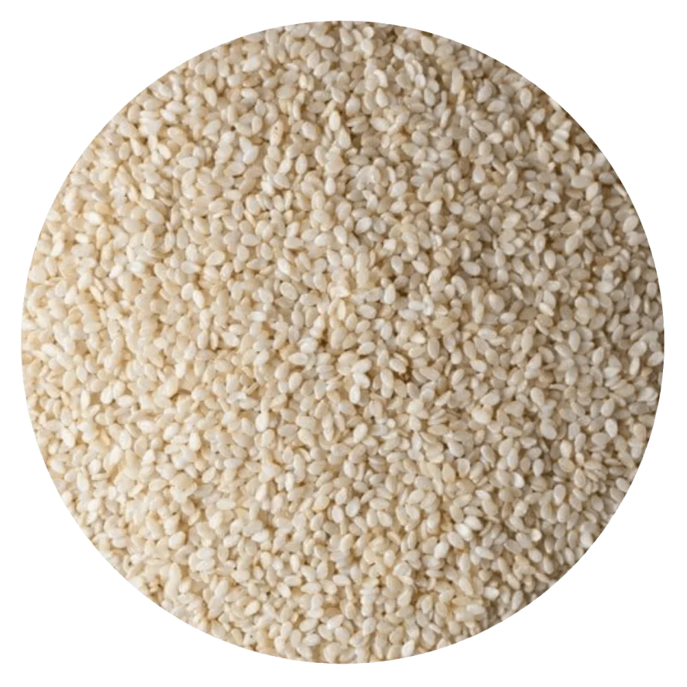 SESAMO BLANCO