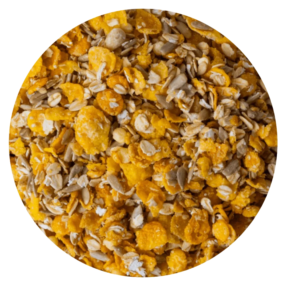 GRANOLA TRADICIONAL (COPO MAIZ - AVENA HORNEADA - SEMILLA GIRASOL - QUINOA POP - MANI SIN SAL - MIEL)