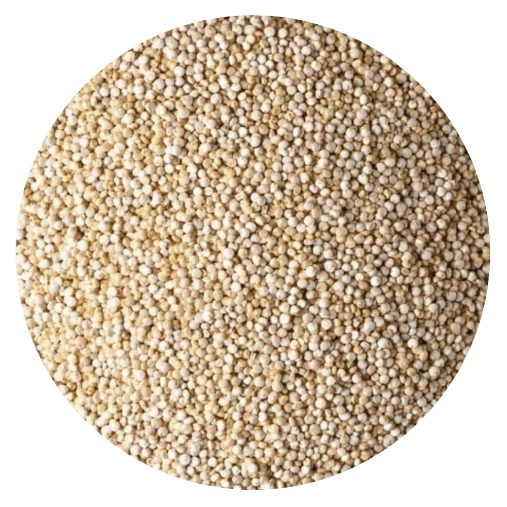 QUINOA