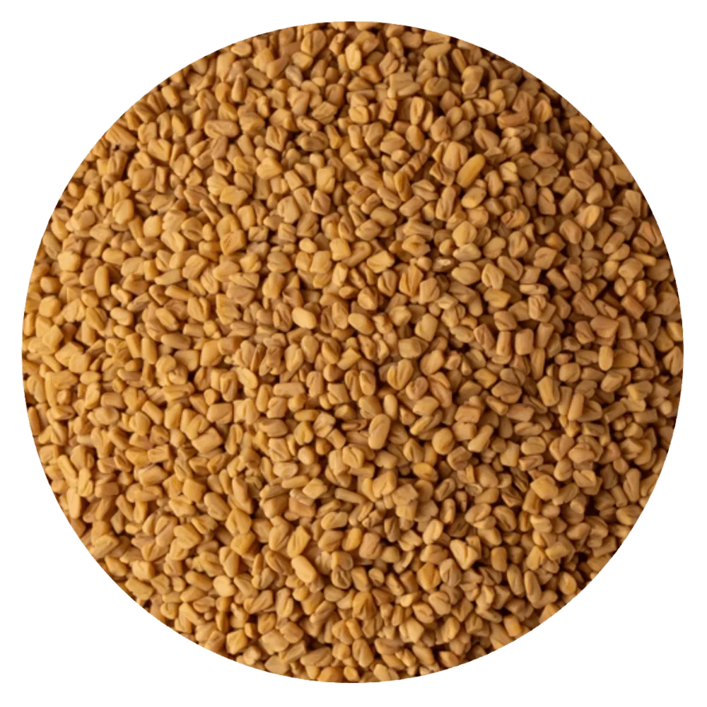 FENOGRECO ENTERO
