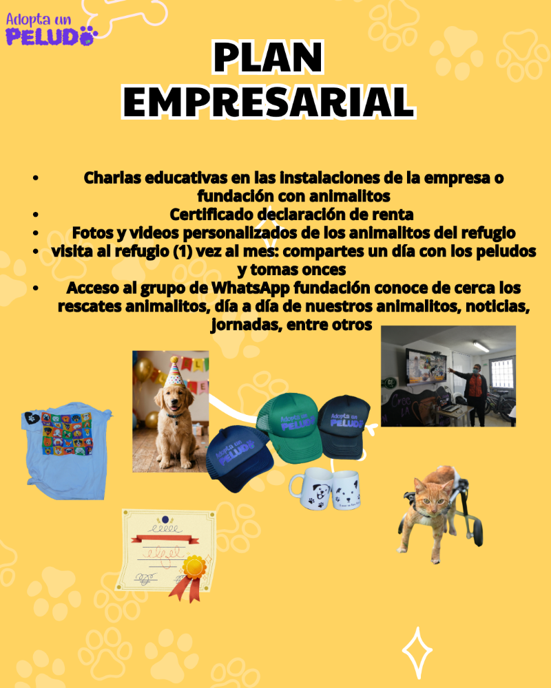Plan  Empresarial