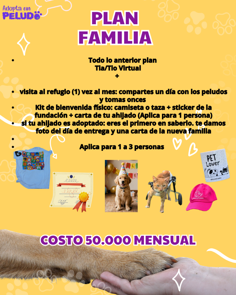 Plan  Familia