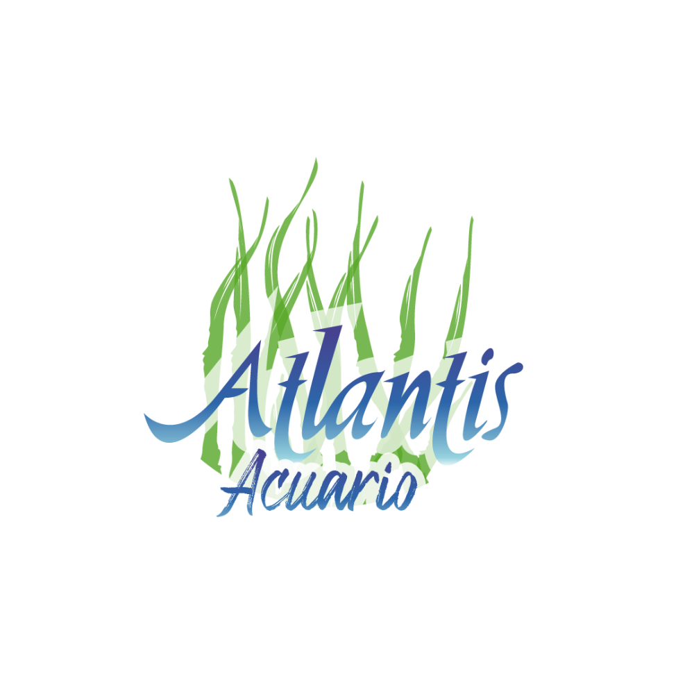 atlantis-5b5af6