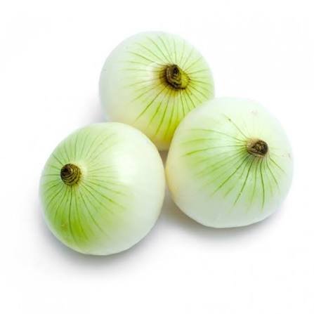 CEBOLLA CABEZONA GRAMAJE