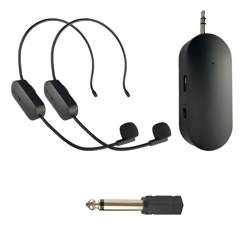 Micrófono Inalámbrico Recargable Ay-102 Doble