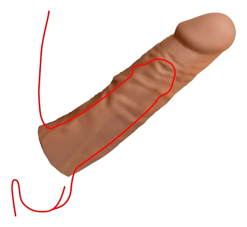 Extension Funda Alargar Pene Retardante Estimulador Realista